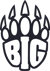 Berlin Internatio logo