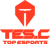 Top Esports Challenger logo