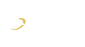Казиното на Sesame