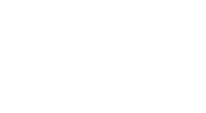 True Flip logo