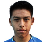 D. Enriquez