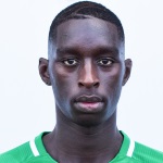 P. N'Diaye