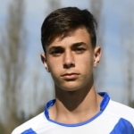 V. Gomez