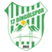 12 Bingölspor