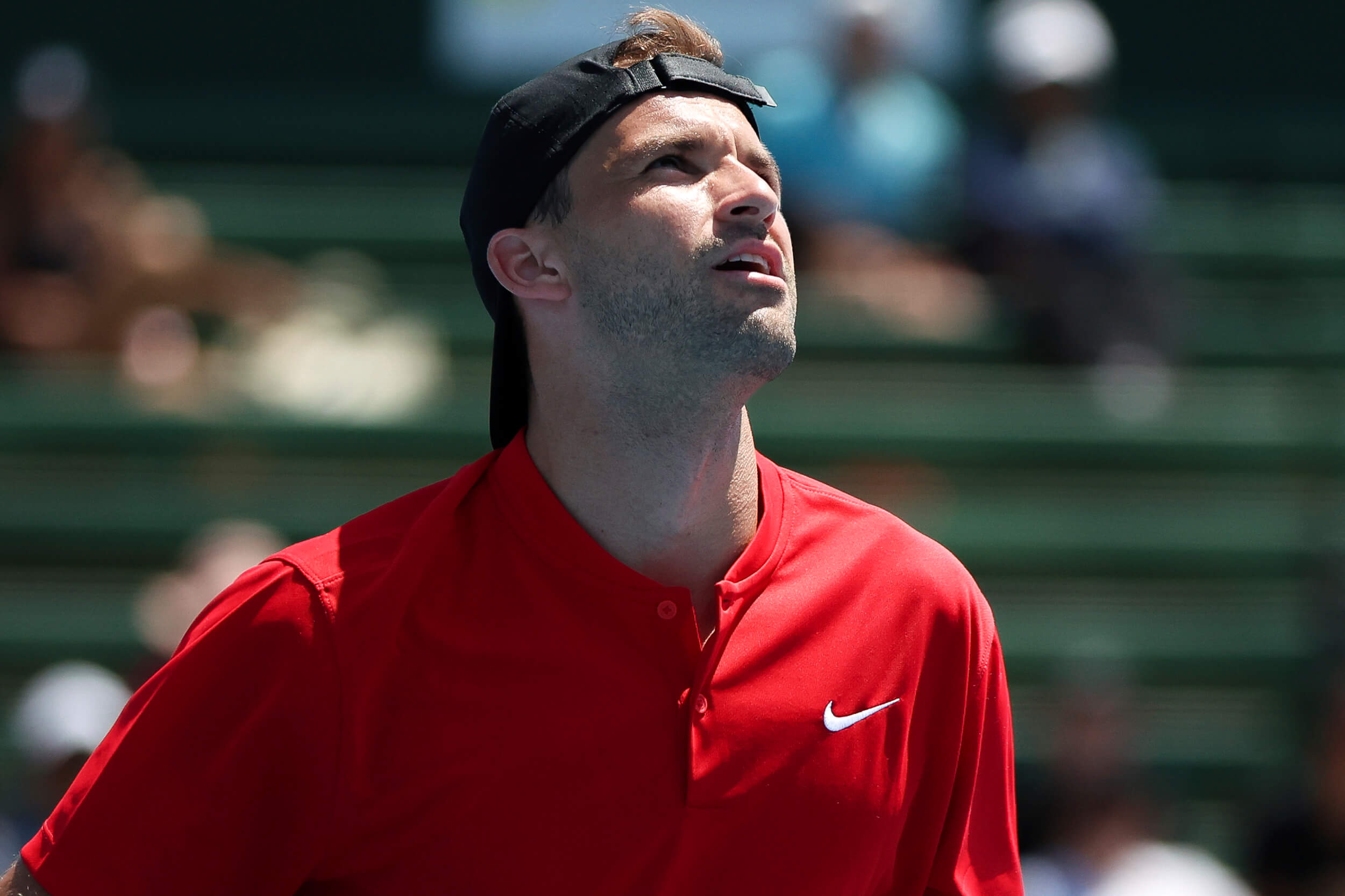 Григор Димитров