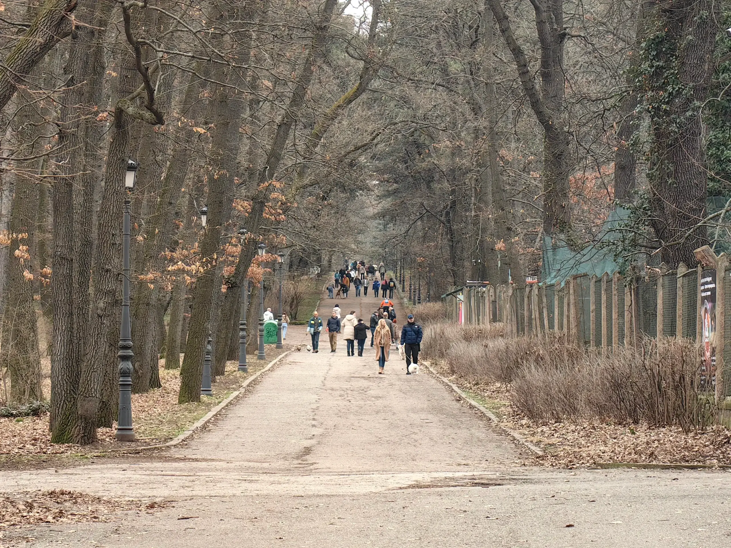 Борисовата градина