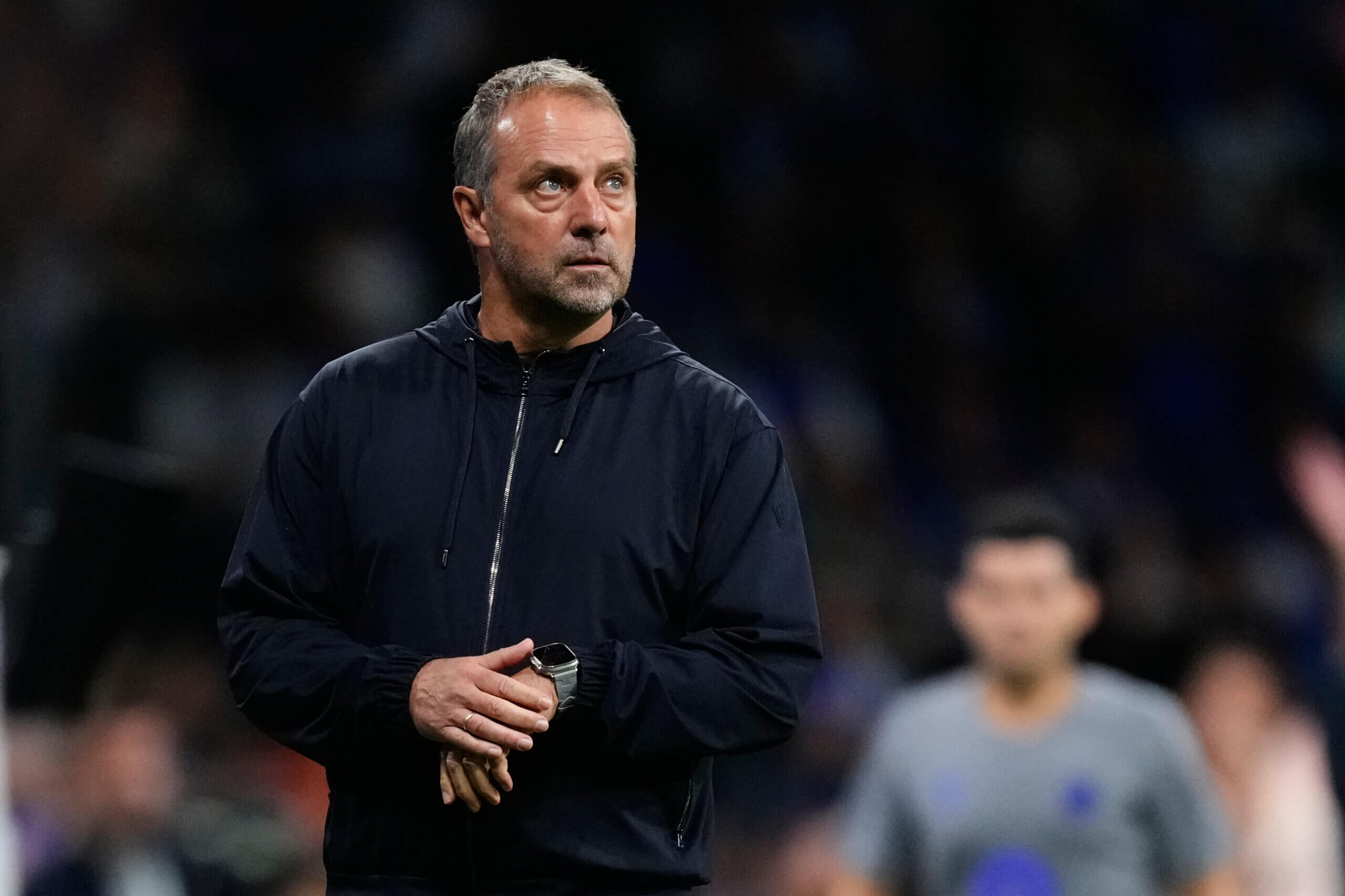 Ханс-Дитер Флик