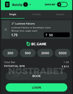 BC Game mobile betslip
