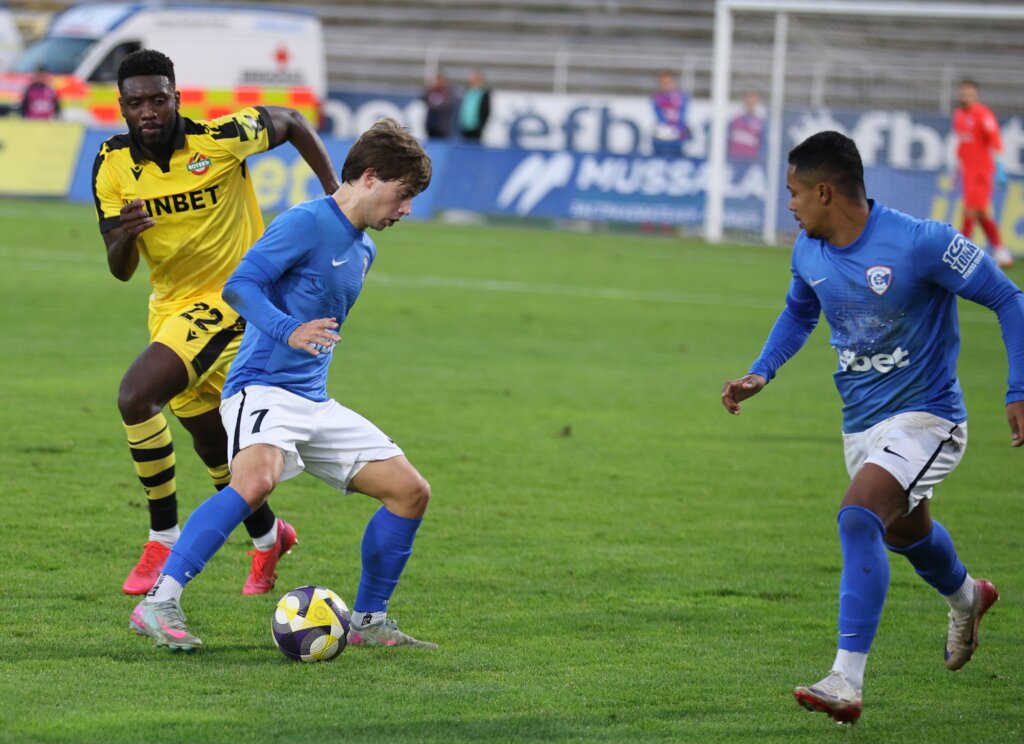 Бернардо Коуто, Шанде