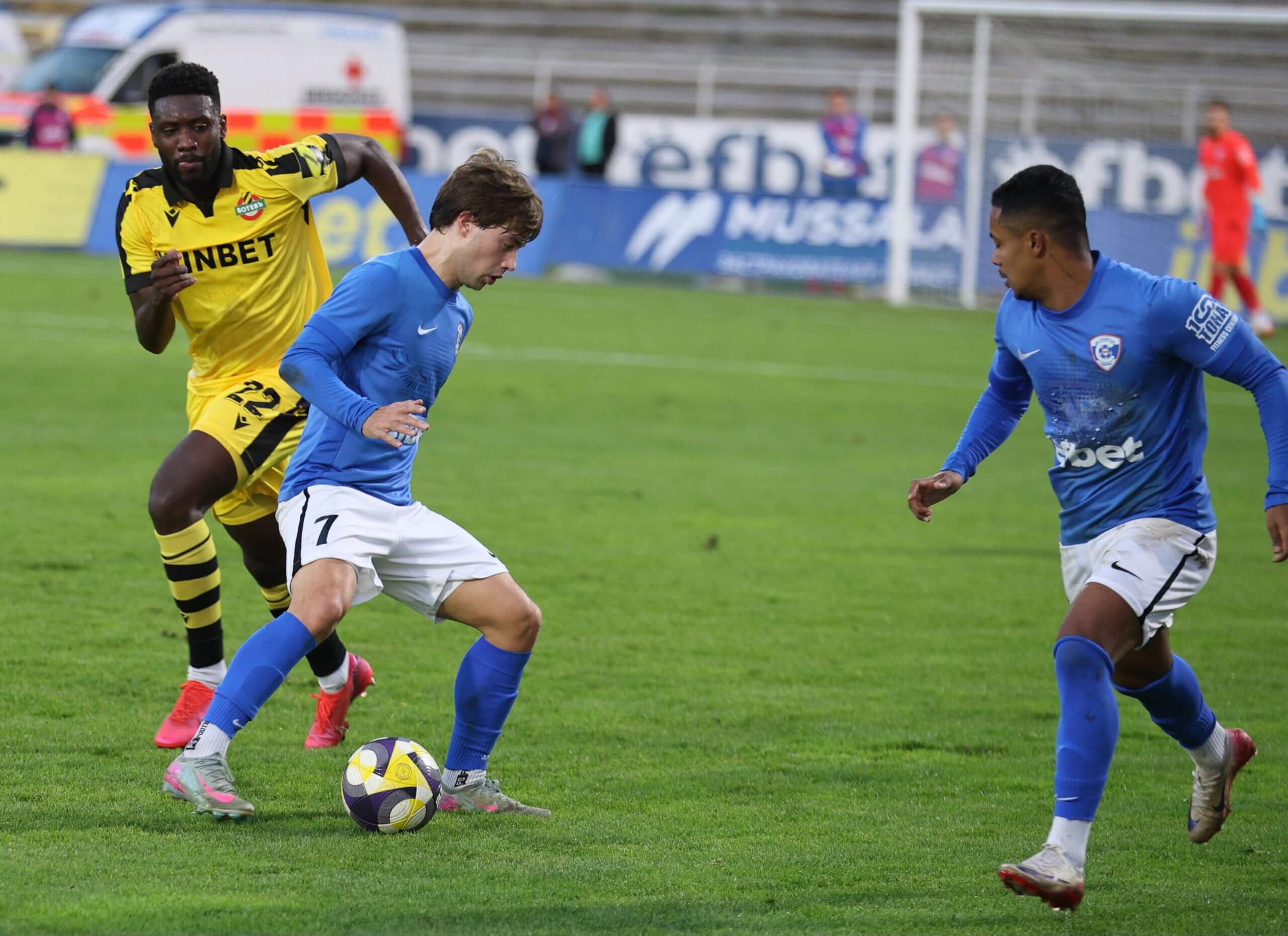 Бернардо Коуто, Шанде