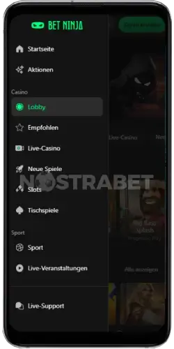 Betninja Mobile Spieloptionen