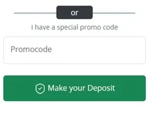 betnow bonus code enter