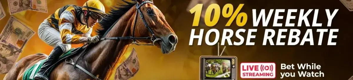 betnow weekly horse rebate