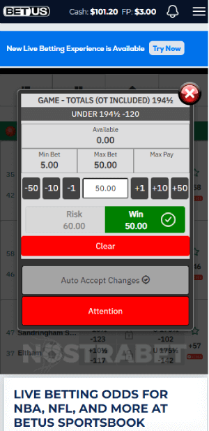 betUS how to place a bet
