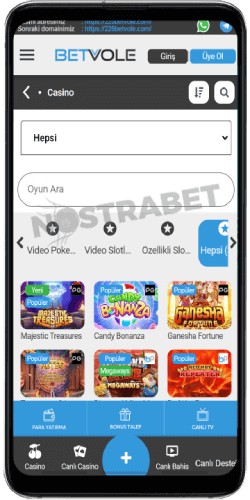 betvole android uygulaması casino
