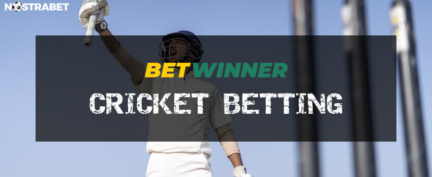 betwinner betting on cricket
