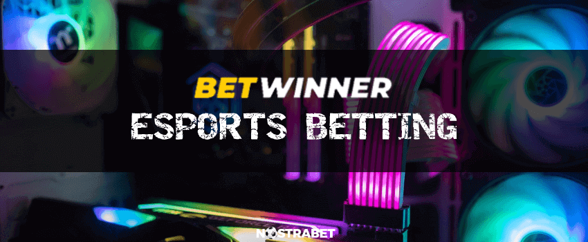 betwinner esports betting review