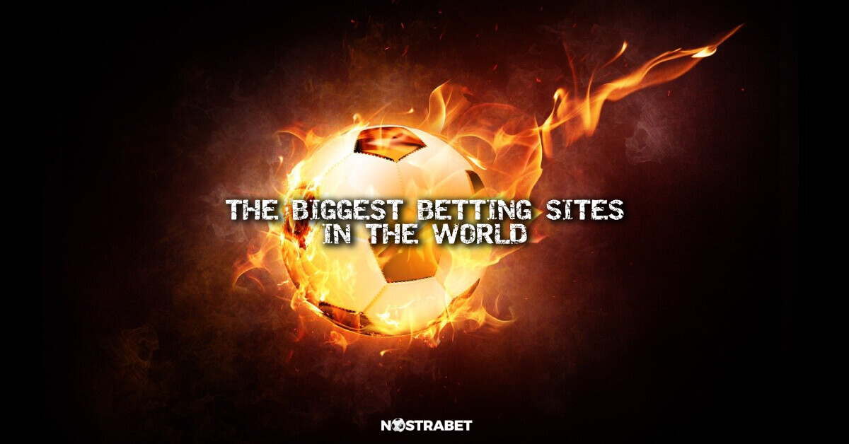 Top 10 Biggest Betting Sites In The World 2024 🎖️