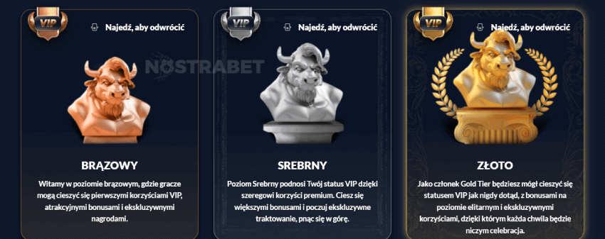 bison casino Bonusy i nagrody lojalnościowe