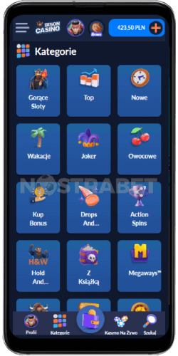 Bison Casino Mobilne opcje gry