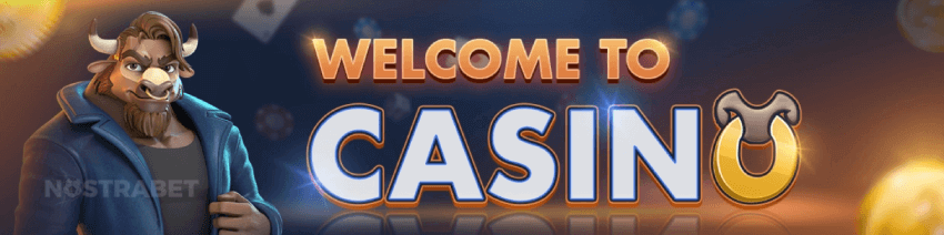 Bison bonus powitalny