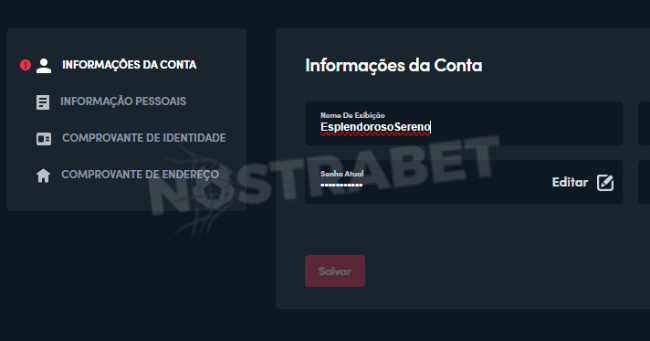 Informações da conta Blaze