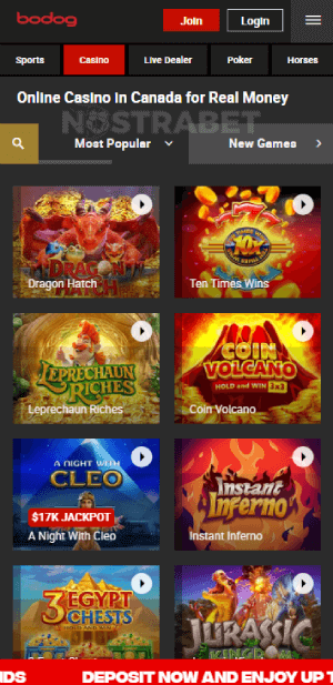 Bodog casino games canada