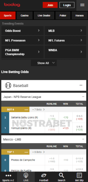 bodog live betting