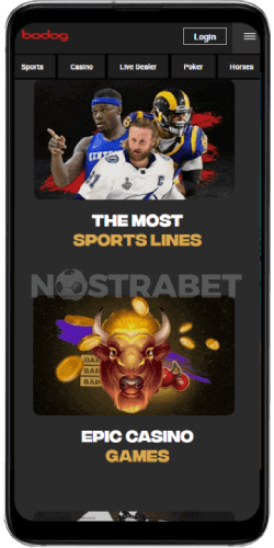 bodog mobile app