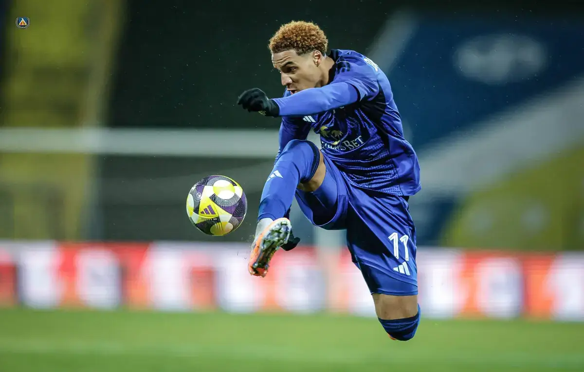 Армстронг Око-Флекс