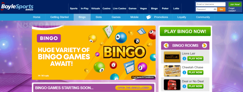 boylesports bingo homepage