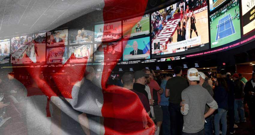 canadians involved in sports betting