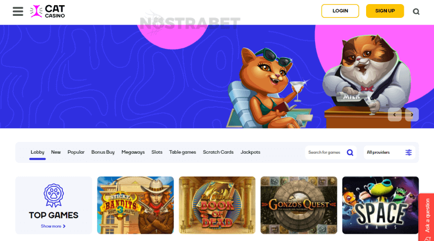 catcasino homepage