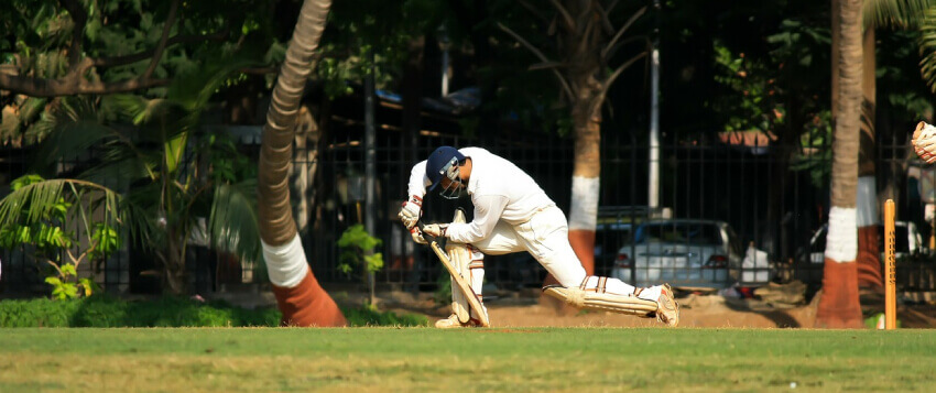 cricket game player