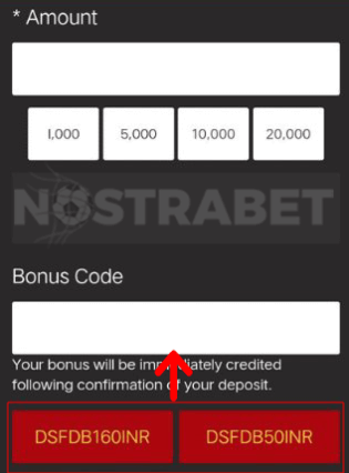 How to use your promo code at Dafabet