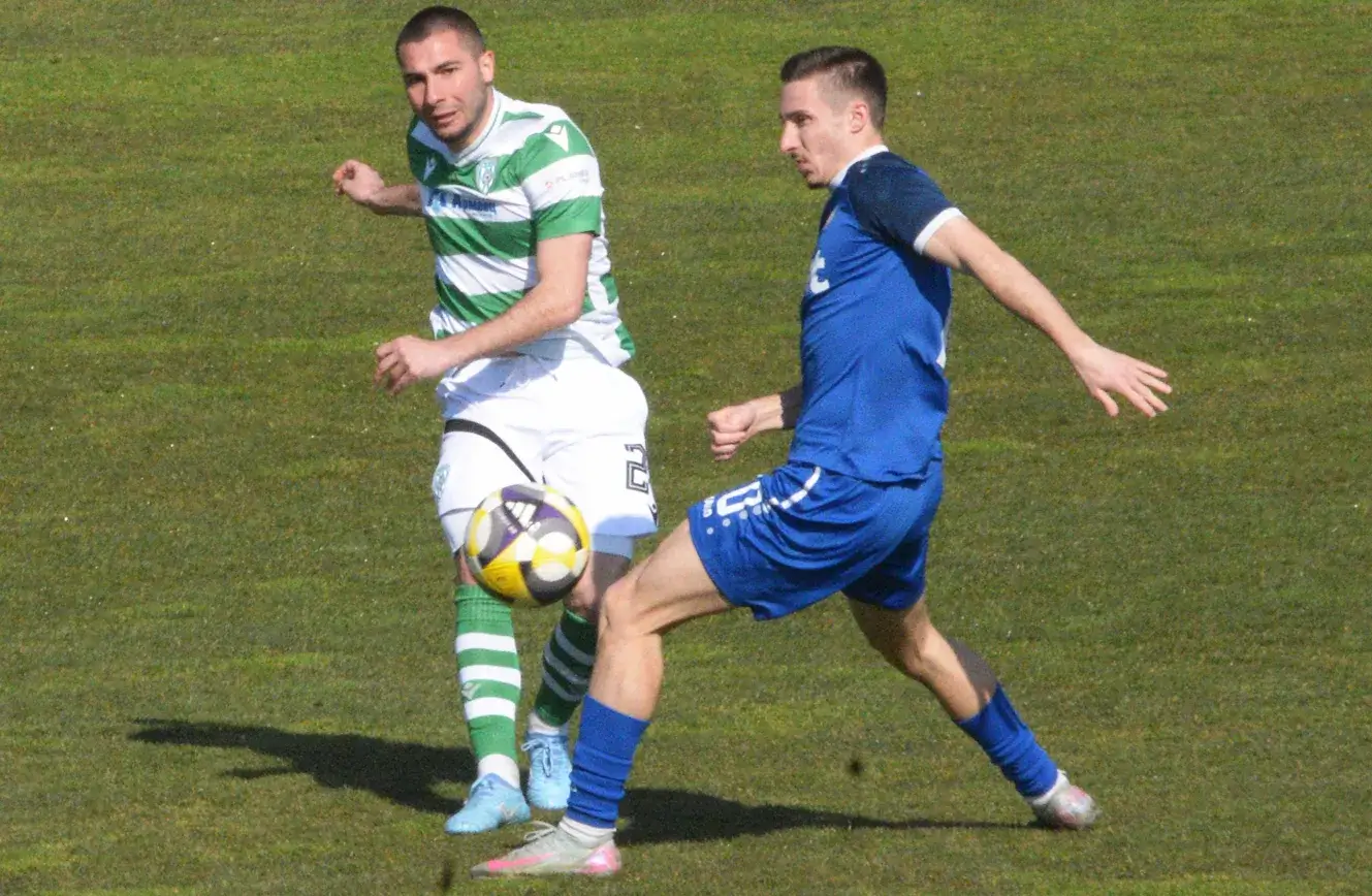 Димитър Тонев