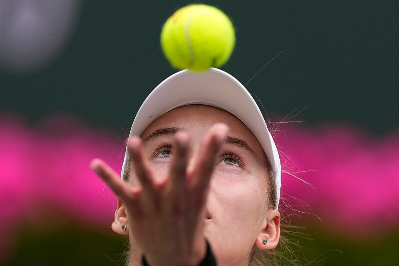 елена рибакина