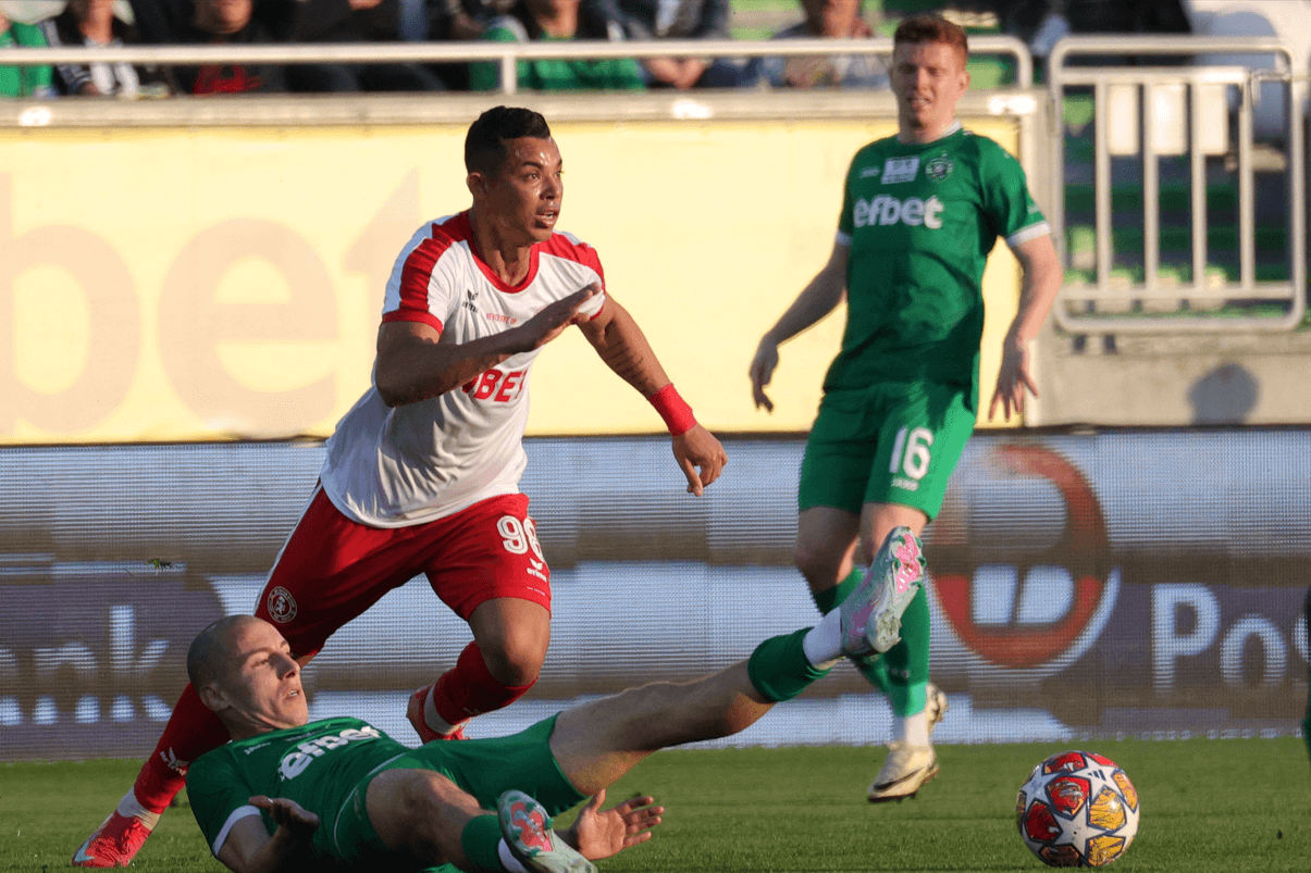 Евертон Потигуар