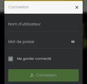 Grand Mondial connexion mobile