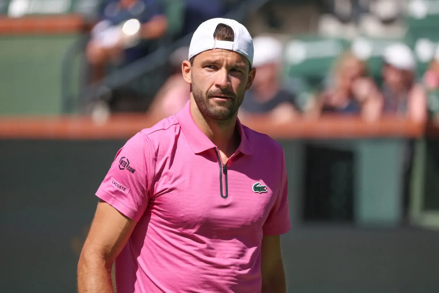 Григор Димитров