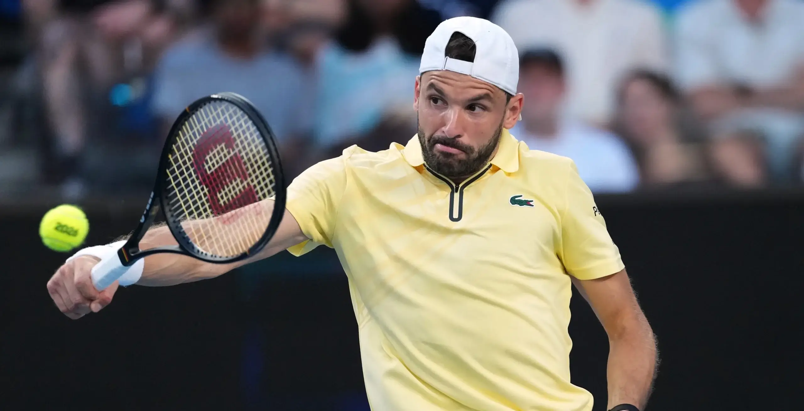 Григор Димитров