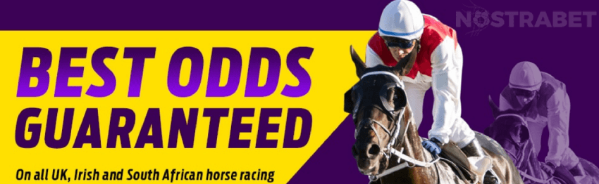 Hollywoodbets Best Odds Guaranteed