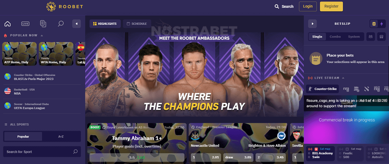 homepage of roobet sports