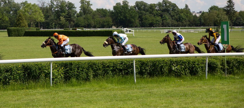 horse racing horses and jockeys