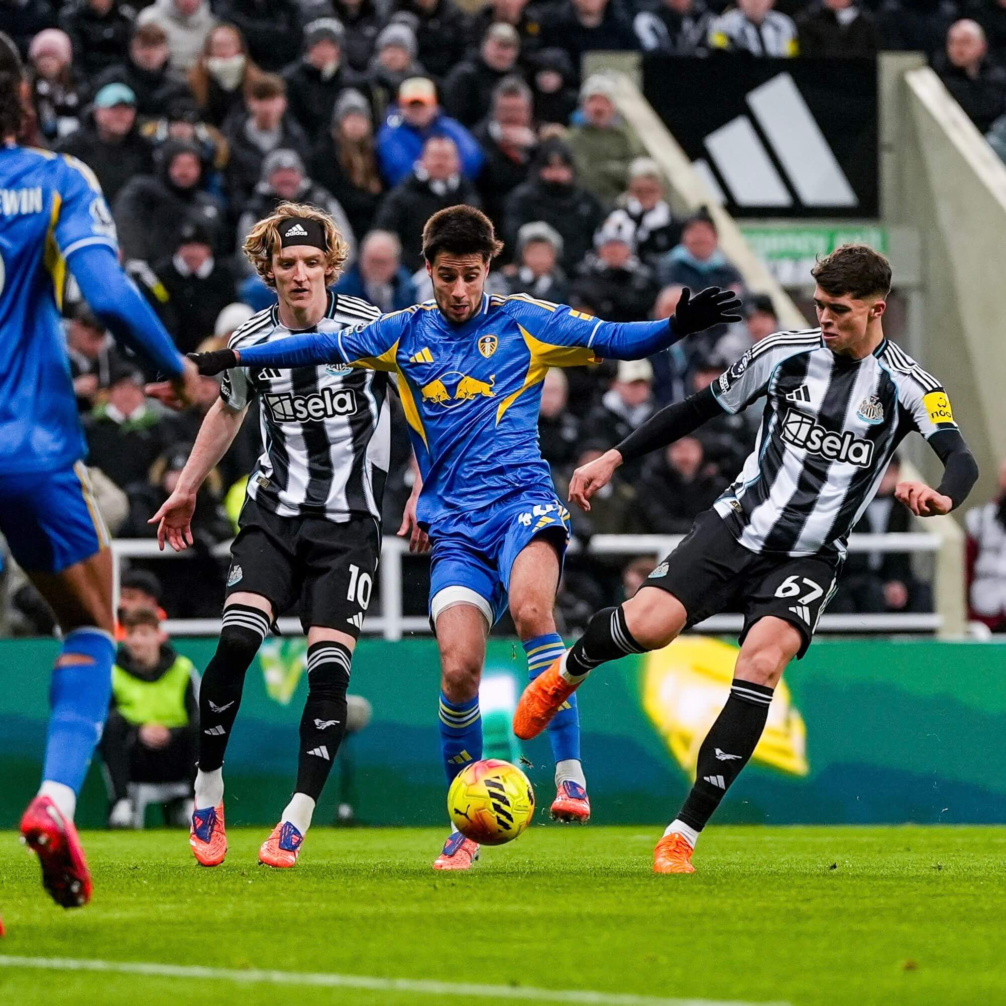 Антъни Гордън, Илия Груев и Люис Майли