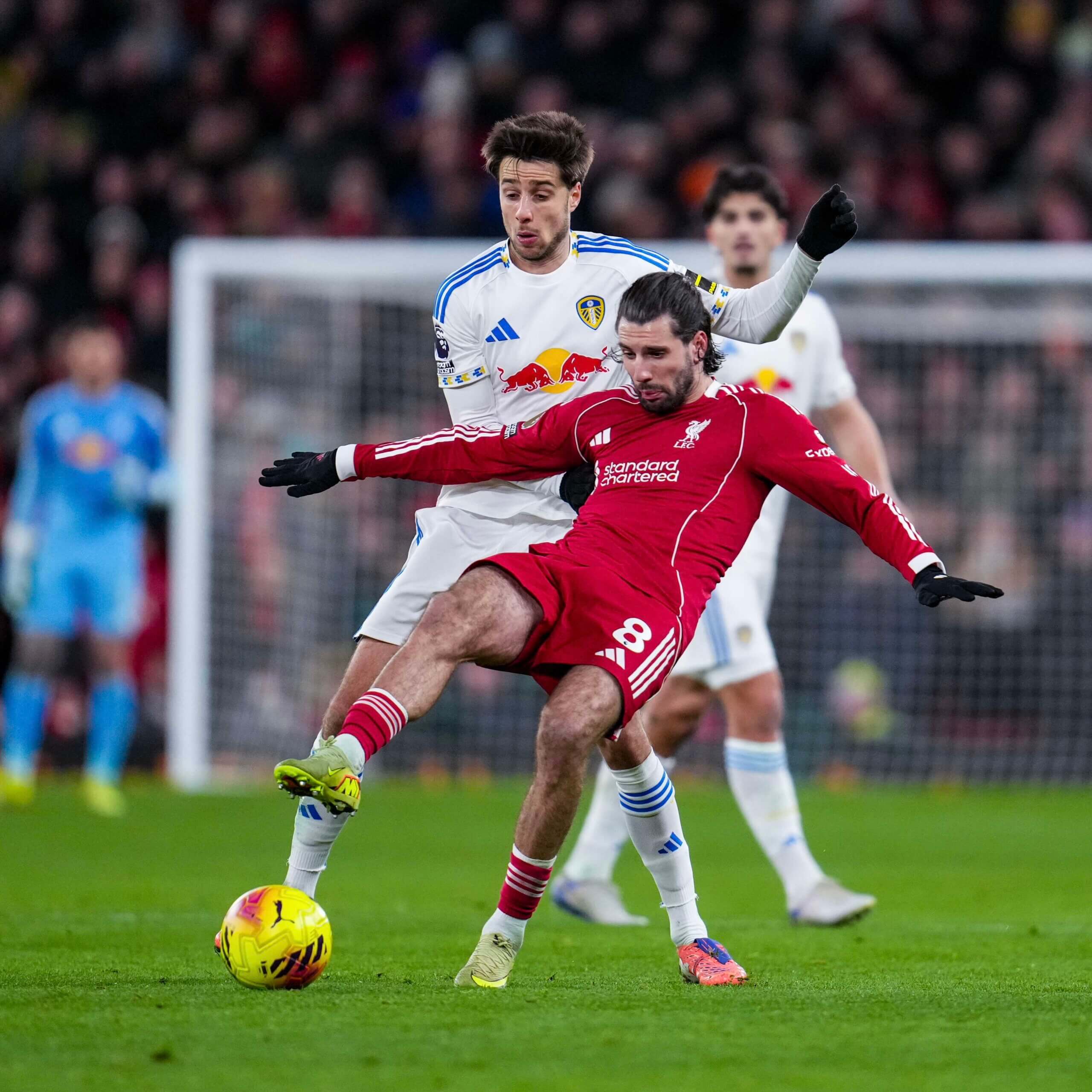 Доминик Собослай и Илия Груев