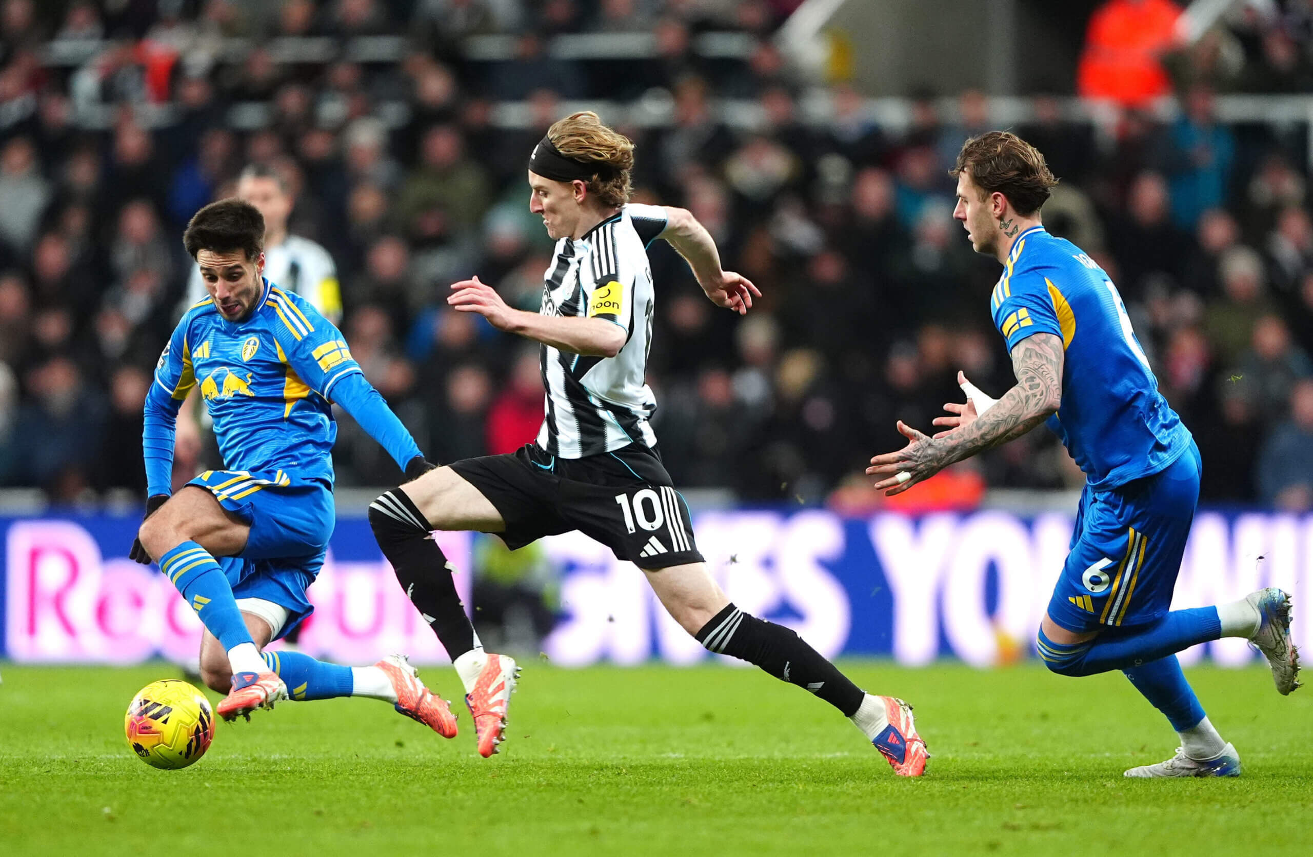 Антъни Гордън, Илия Груев и Джо Родън