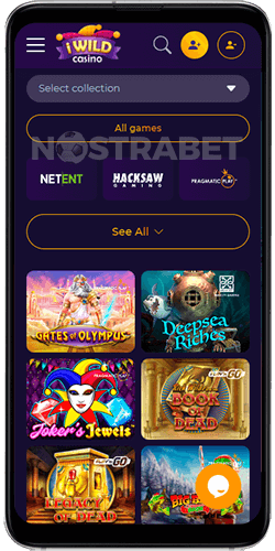 iWild Casino Mobile Version
