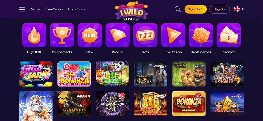 iWild Casino Website Design