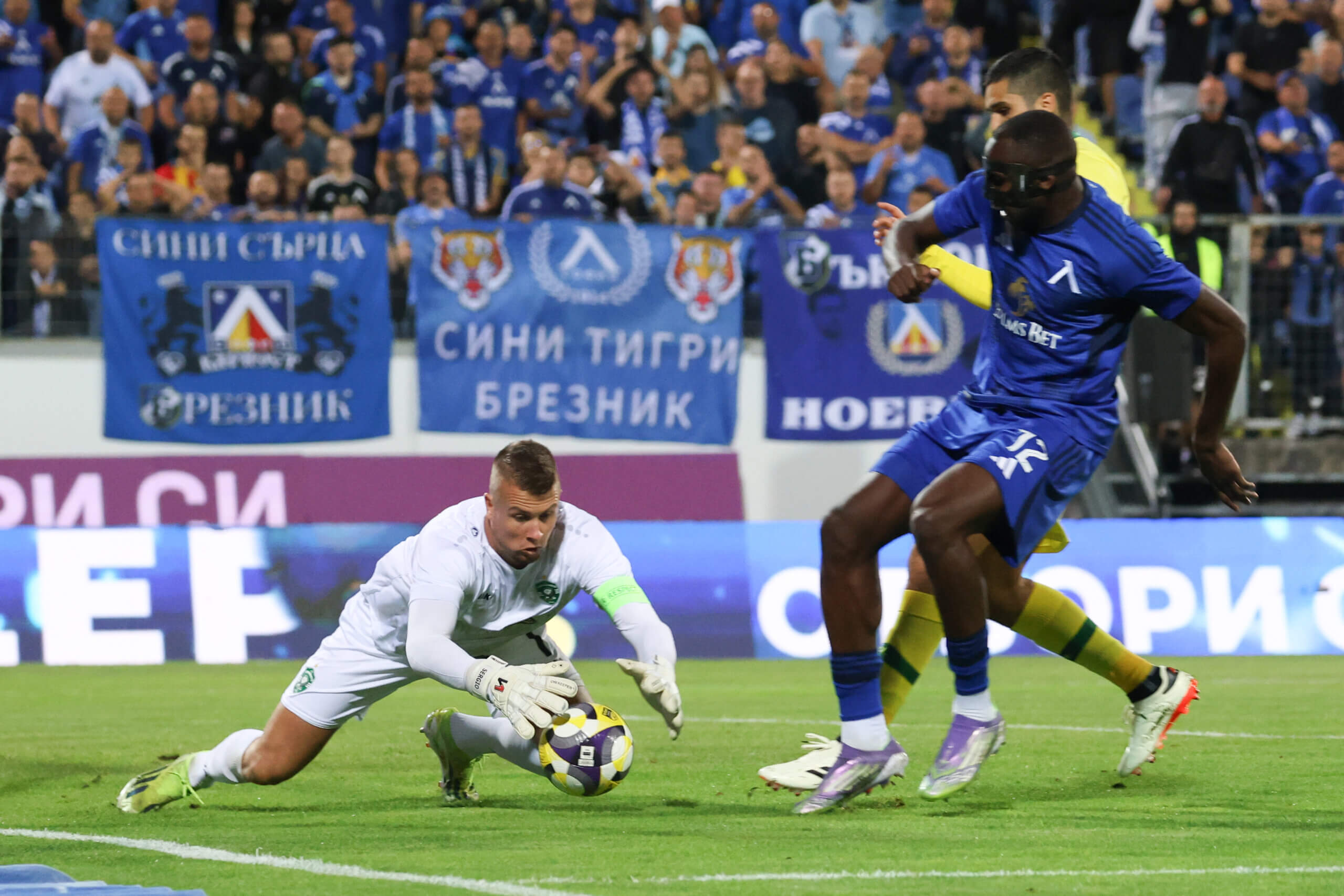 Мустафа Сангаре и Серджио Падт